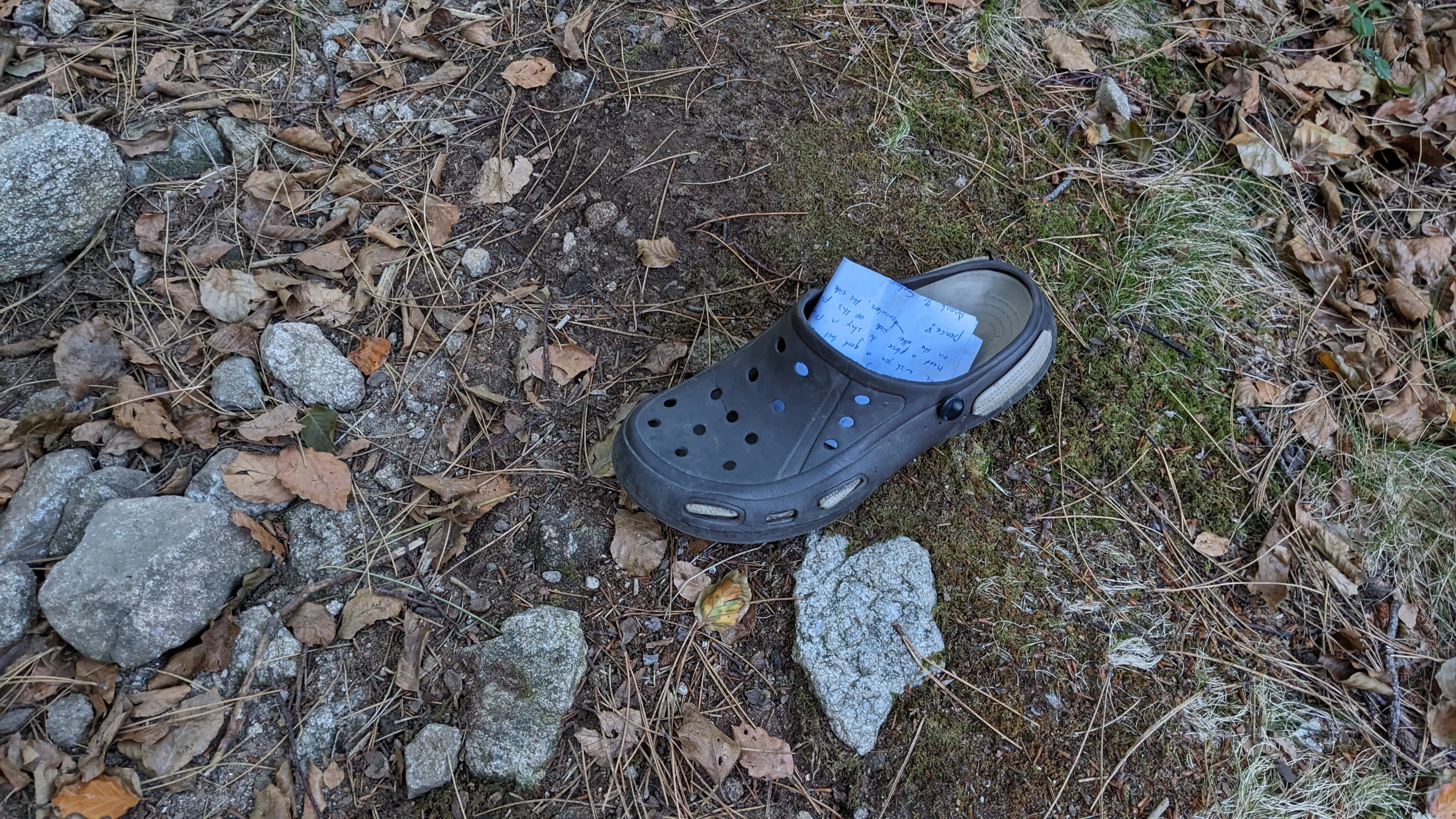 A Croc shoe on the side of the trail