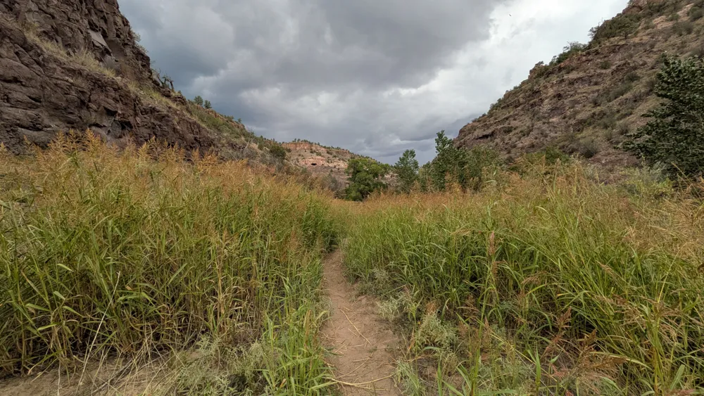 Along the Middle Fork of the Gila River, near the visitor center