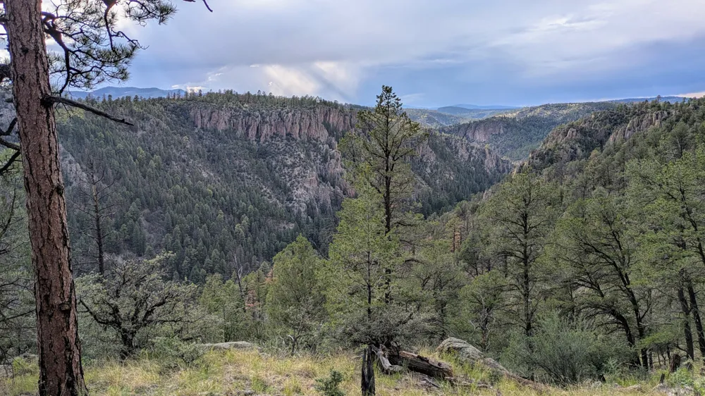 View of the Middle Fork of the Gila River from the Homestead Trail