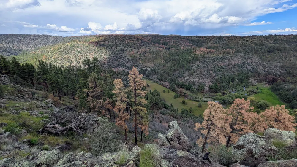 Middle Fork of the Gila River from Iron Creek Mesa