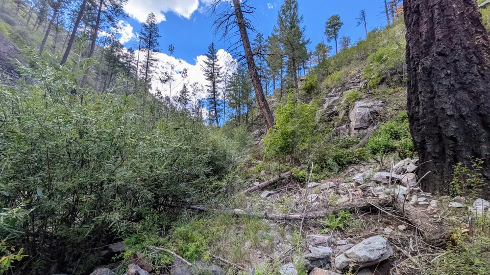 Trail 151