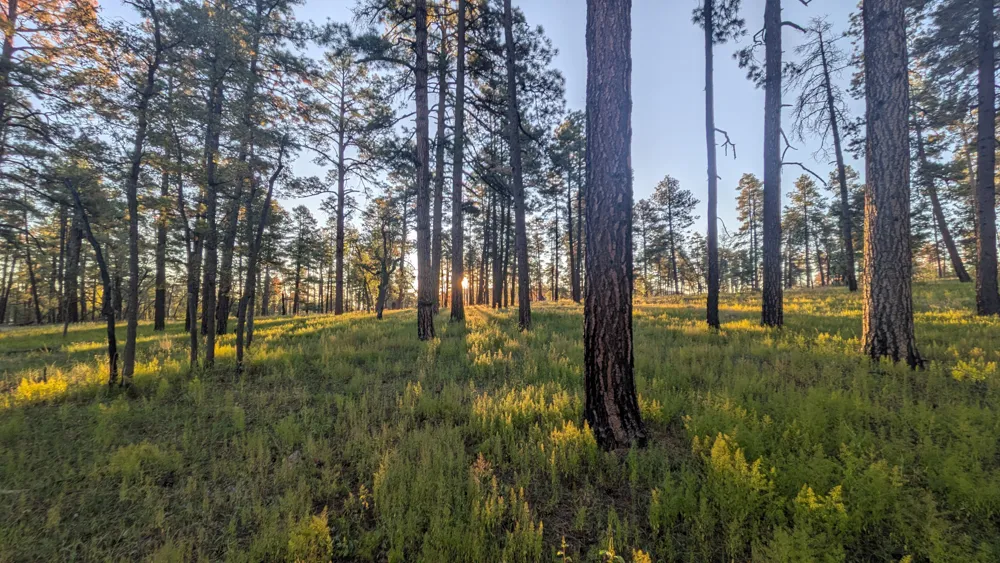 Sunrise near McKenna Park