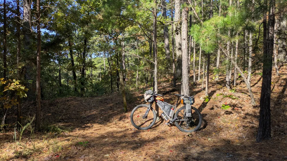 My bikepacking rig on the Womble Trail