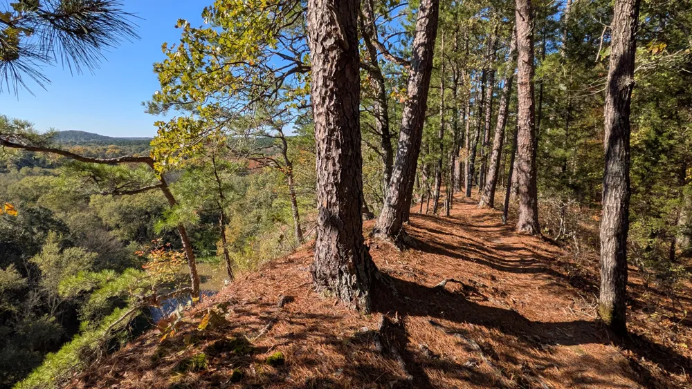 View from the bluffs above the Ouachita River, from the Womble Trail