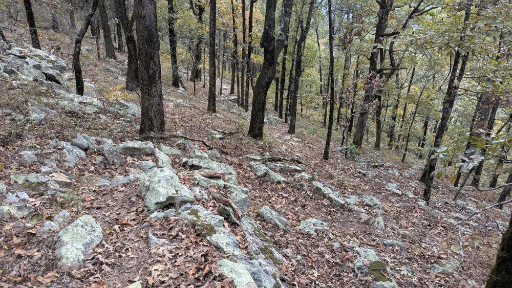 A steep, rocky segment of the Ouachita Trail near Ouachita Pinnacle