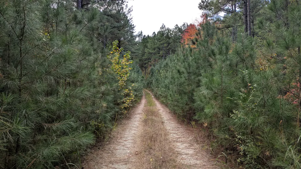 Sledge Road