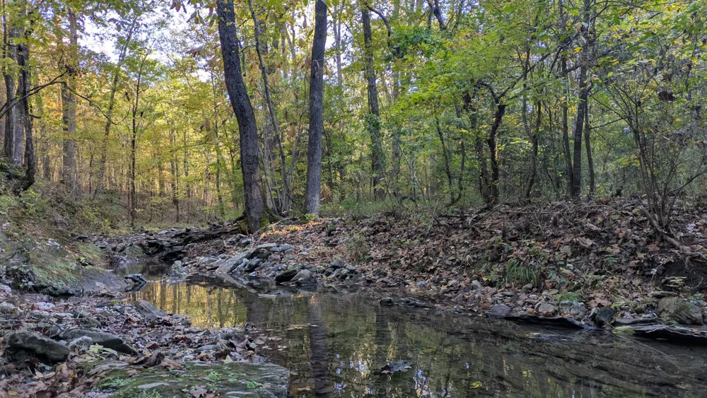 One of many crystal clear stream crossings on the LOViT trail