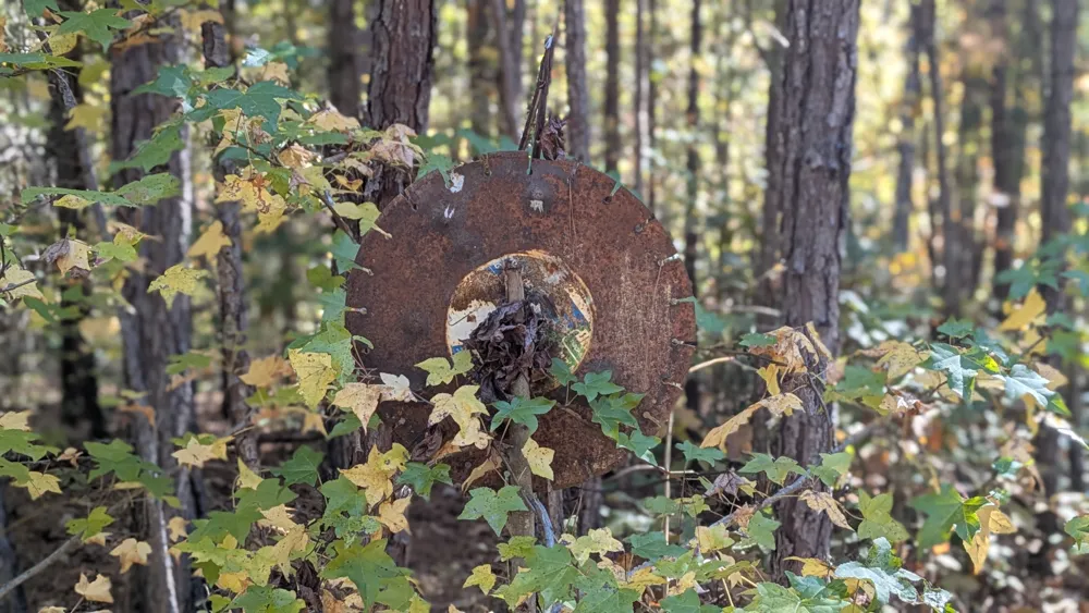 An ornamental metal disc hanging from a tree