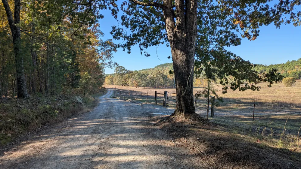 Tree and farmland on Ly Brand Road, Mt Ida, Arkansas